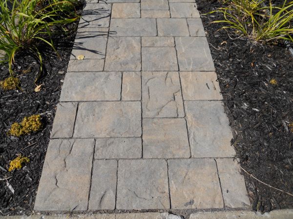 Stamped Concrete Staining in Anacortes
